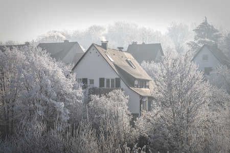 Winter landscape of snowy tree after frost came in over night, Germanyの写真素材