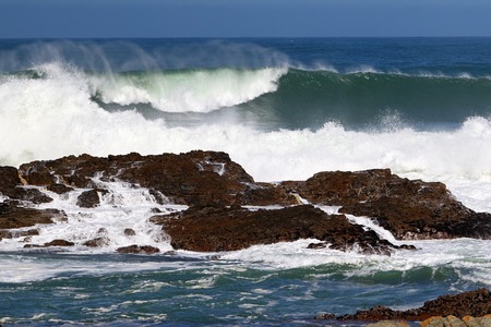 Impressions of the coast on the Cape of Good Hope, South Africaの写真素材