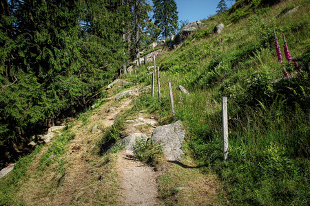 Lovely hiking path called "Geissenpfad" near Menzenschwand showing the amazing landscape in the southern Black Forest in Germanyの写真素材
