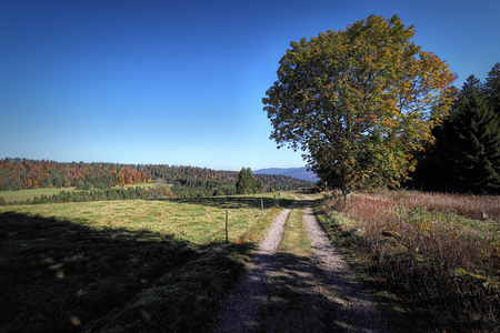 Lovely hiking path called "Ibacher Panoramaweg" near Oberibach showing the colorful landscape in the southern Black Forest in Autumn, Germanyの写真素材