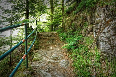 Scenic countryside landscape in the Black Forest: hiking through green forest with amazing views in spring near Allerheiligen, Germanyの写真素材