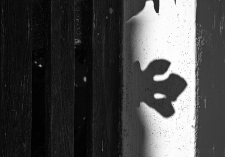 Light and Shadows, Freiburg, Germanyの写真素材