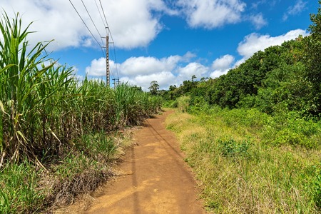 Aerial view of Mauritius islands, Africaの写真素材