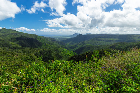 Panoramic view of Black River Gorges National Park, Gorges Viewpoint in Mauritius.