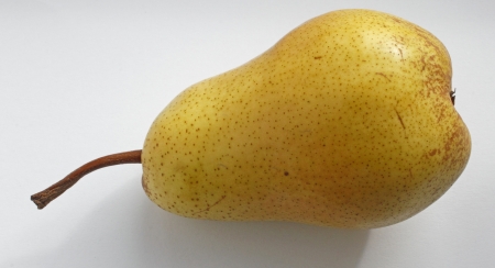 Organic Pear の写真素材