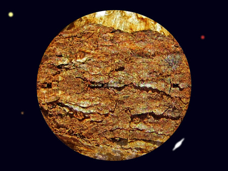 Golden Planet                             の写真素材