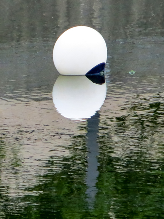 White Bouy With Reflection On Riverの写真素材