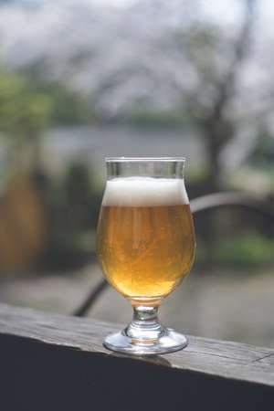 A garden of cherry trees, a glass of beer, a toast.の写真素材
