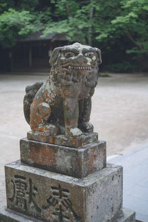 A large-faced koma-inu at Sakurai Shrine in Itoshima City, Fukuoka Prefecture. Sakurai Shrine in Itoshima City, Fukuoka Prefectureのeditorial素材