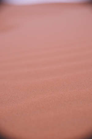 Morocco Merzouga Sahara Desert Sand Dunes.の写真素材