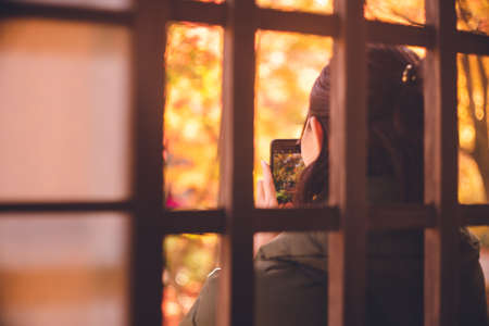Autumn foliage viewing in Kyoto People taking photos with their cell phonesの写真素材