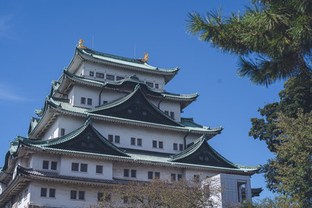 Sightseeing spot Japan's 100 famous castles Aichi Prefecture Nagoya Castle Tower.のeditorial素材