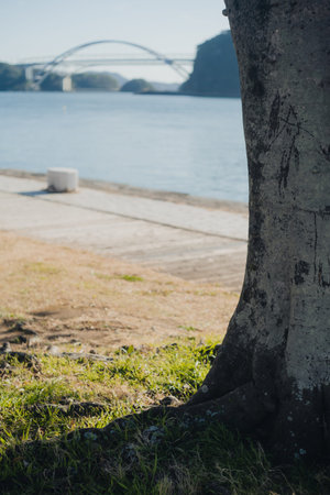 Waterfront spot with industrial heritage of the Meiji era, Sankaku West Port World Cultural...