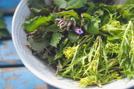Purple and potherb mustard greens from the home garden on a plateの写真素材