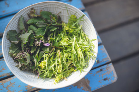Purple and potherb mustard greens from the home garden on a plateの写真素材