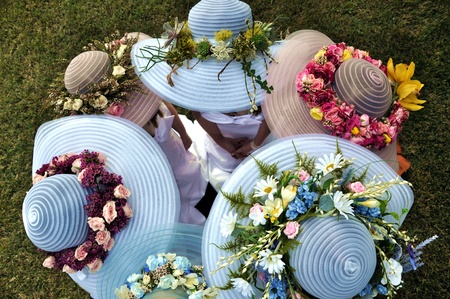 southern belles in springの写真素材