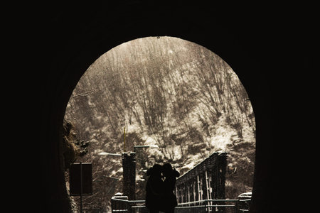 A silhouette of a woman standing in a tunnel with a view of the winter forest.