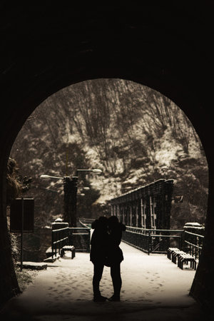 A silhouette of a man standing in front of a bridge in winter