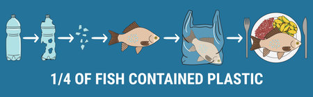 Infographic of fish with microplastics on the plate. One-quarter of fish contained plastic. Marine...