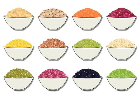 Set of beans and legumes in bowl. Chickpea, kidney bean, mung, soy, lentils, pinto beans, adzuki, lima beans. Organic healthy food. Vegan and vegetarian poster. Hand drawn vector illustrationのイラスト素材