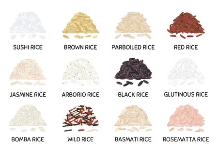 Set of hand drawn vector handful of rice. Sushi, brown, parboiled, jasmine, red, arborio, wild, basmati, rosematta. Organic healthy food. Vegan and vegetarian poster. Hand drawn vector illustrationのイラスト素材