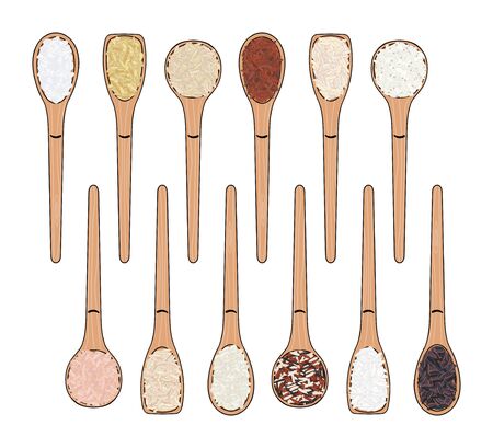Set of spoons with rice. Top view. Kitchen, cooking poster. Sushi, brown, parboiled, jasmine, red, arborio, wild, basmati, rosematta. Organic food. Hand drawn vector illustrationのイラスト素材