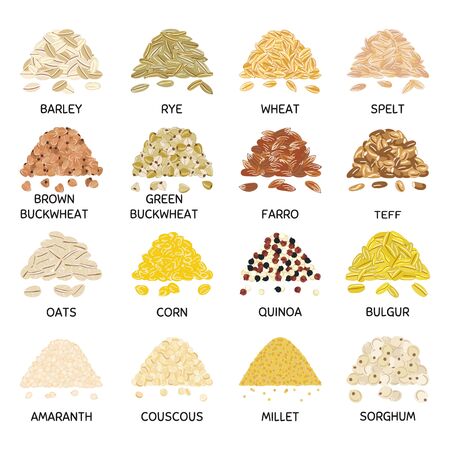 Set of hand drawn vector handful of grains and cereals. Barley, wheat, buckwheat, oats, corn, quinoa, millet, bulgur. Organic healthy food. Vegan and vegetarian poster. Hand drawn vector illustrationのイラスト素材