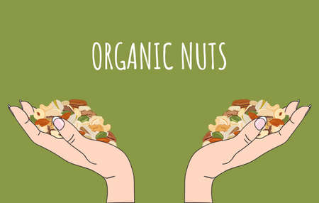 Pile of nuts and seeds in girl s hand. Kitchen, cooking print and banner. Cashews, almonds, pistachios, walnuts, pumpkin, sunflower seeds. Organic food. Hand drawn cartoon vector illustrationのイラスト素材