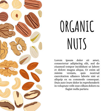 Template with border with nuts. Kitchen, cooking print and banner. Cashews, almonds, pistachios, walnuts nuts. Organic food. Hand drawn cartoon vector illustrationのイラスト素材