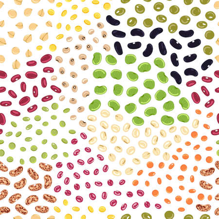 Seamless pattern of beans and legumes. Kitchen, cooking print. Chickpea, kidney bean, mung, soy, lentils, pinto beans, adzuki, lima beans. Organic food. Hand drawn cartoon vector illustrationのイラスト素材