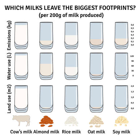 The impact of milk types on the environment. Milk infographic. Dairy, almond, soy, rice, oat milk. Water use, greenhouse emission. Footprints from milk. Hand drawn vector illustration.のイラスト素材
