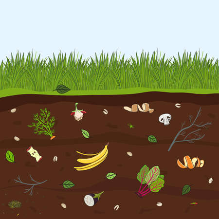 Ground cutaway with food scraps. Recycling organic waste. Farming and agriculture. Hand drawn vector illustration.のイラスト素材