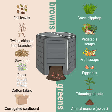 Infographic of garden composting bin with scraps. What to compost. Green and brawn ratio for composting. Recycling organic waste. Sustainable living concept. Hand drawn vector illustration.のイラスト素材