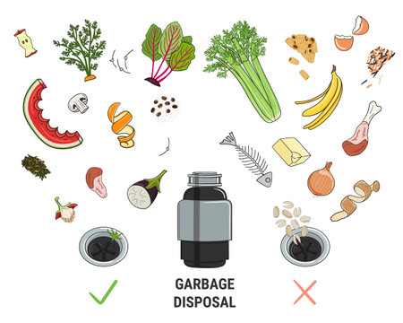 Infographic of food waste disposer for home kitchen sink with kitchen scraps falling into it. What...