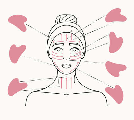 Facial massage direction scheme. How to do gua sha massage. Portrait of woman with gua sha scraper. Hand drawn vector line illustration.のイラスト素材