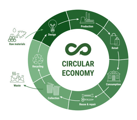 Circular economy line infographic on green diagram. sustainable business model. Scheme of product life cycle from raw material to production, consumption, recycling. flat line vector illustrationのイラスト素材