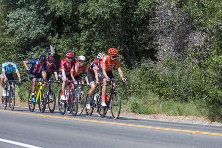 Amgen, Tour of California, SACRAMENTO, CA âMay 13, 2019: Amgen, Tour of California race is on itâs way to South Lake Tahoe, California during stage 2 from Rancor Cordova, California.  In the image the peloton is working itâs way on Bass Lake Road inのeditorial素材