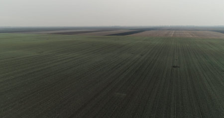 Crop field, winter, drone shot. Aerial view of agricultural fields and meadows in the fog.