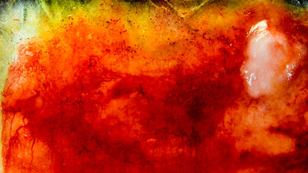 Abstract watercolor painted background. Red, yellow and green colors.
