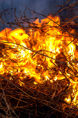 bonfire, bright red flames burning dry grass and branches