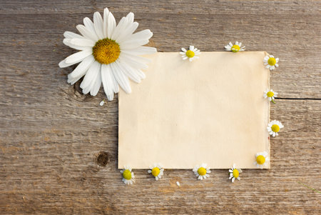 background for the text of craft paper on a wooden background with large and small daisiesの写真素材