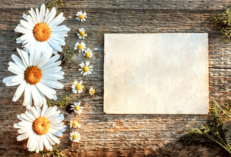 background for the text of craft paper on a wooden background with large and small daisiesの写真素材