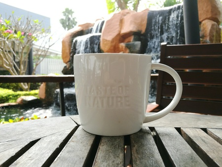 White cup of Hot tea on wooden table and waterfall backgroundの写真素材