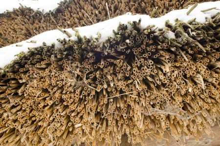 roof of wheat straw of old peasant hutの写真素材