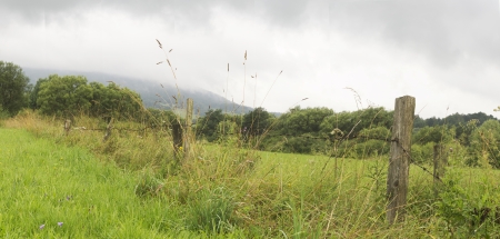 morning fog in moutain in summerの写真素材