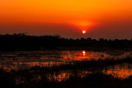 Beautiful evening sunset With Flying birdsの写真素材