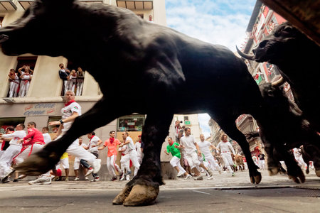 PAMPLONA, SPAIN-JULY 13: Bulls and people are running in street during San Fermin festival in Pamplona, Spain on July 13, 2013.のeditorial素材