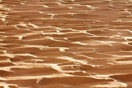 sand dunes Bolonia