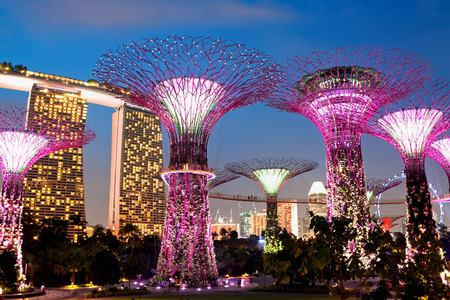 SINGAPORE - JANUARY 22: Night view of The Supertree Grove at Gardens near Marina Bay January 22, 2014 in Singapore. Gardens by Bay was crowned World Building of Year at World Architecture Festival 2012のeditorial素材