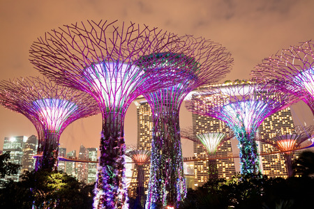 SINGAPORE - JANUARY 22: Night view of The Supertree Grove at Gardens near Marina Bay January 22, 2014 in Singapore. Gardens by Bay was crowned World Building of Year at World Architecture Festival 2012のeditorial素材